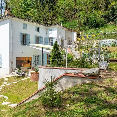 Le Mas De La Coupiere Serres-sur-Arget Екстер'єр фото